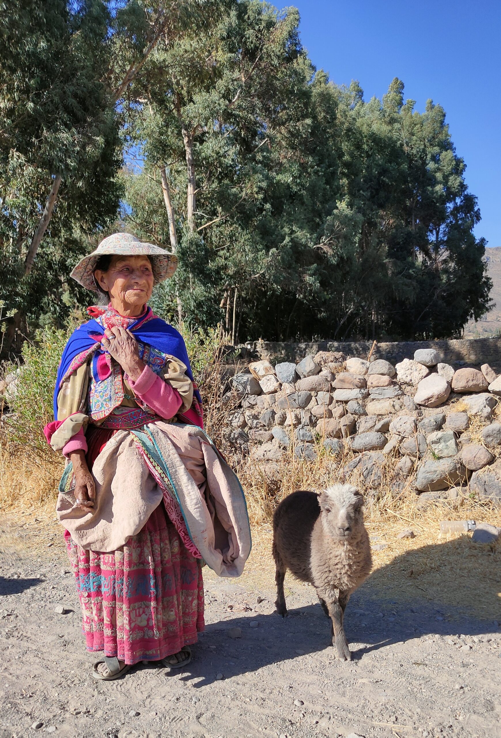 Miestna žena v Yanque, Colca Kaňon v Peru a jej kamarát baranček